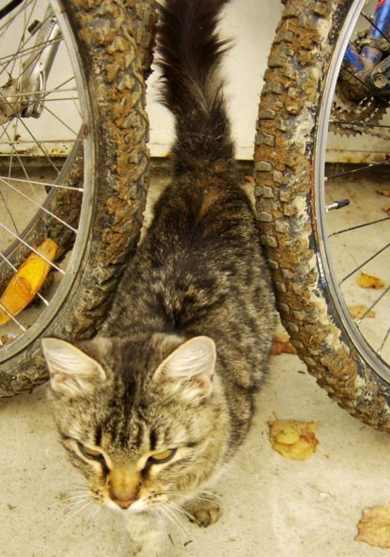 ���� ������� �� ������� ���� [�� ��]