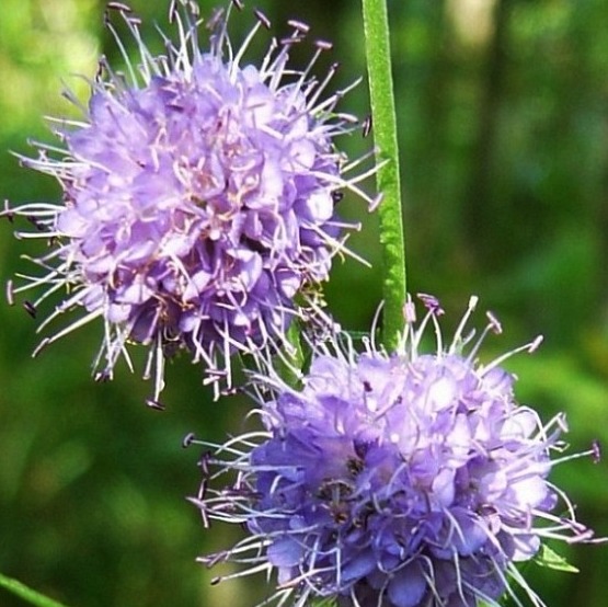 �� �� ������ ����� [�� ��]