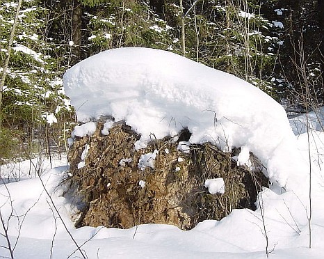 ��, ����� ����� [Af K']