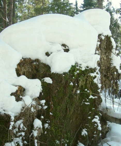 ��������� [�� ��]