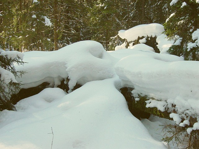 �������� ��������� [�� ��]