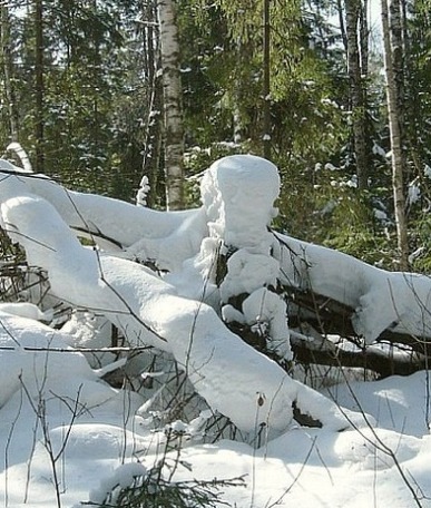 ����� ������! [�� ��]