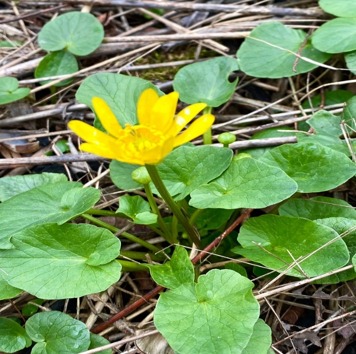 E:\0024 ������� ����� 2024 �\09 ��� 9  ����-������� ��������\2023 ������� � ����� ������\IMG-20230317-WA0050.jpg