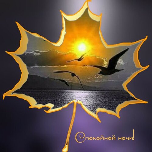 E:\0023 ������� ����� 23\09  ���� ����-01 ���\23 ������ ���� ��������\IMG-20230130-WA0039.jpg