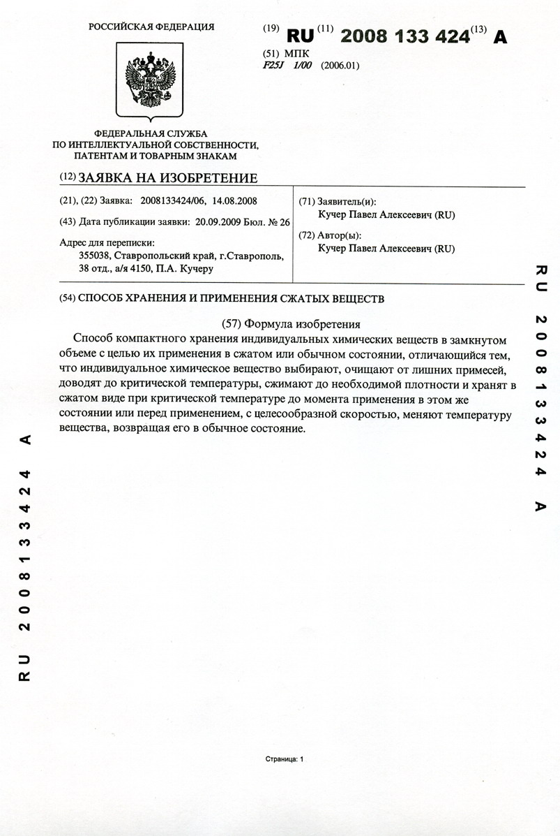   RU 2008133424 []