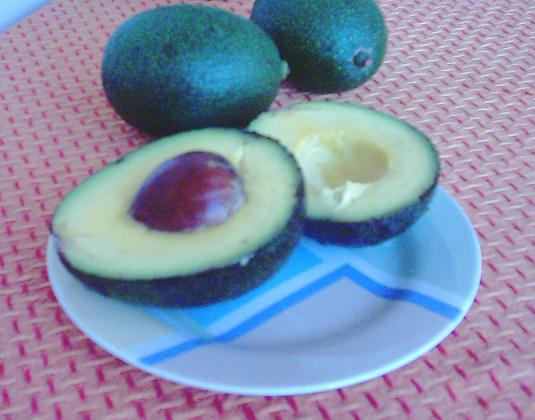 ���-��� [�������]