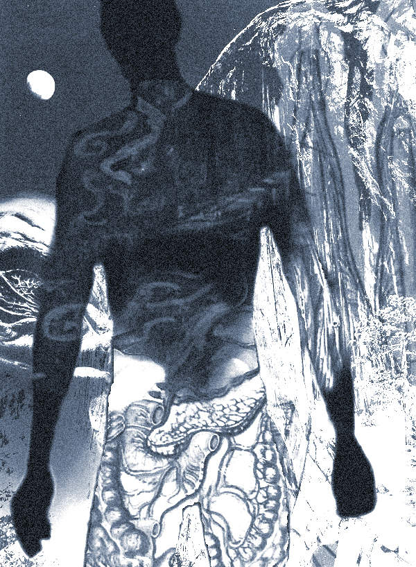  [����� ���������]