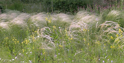 �������� ������ [www.sandfrauchen.de]