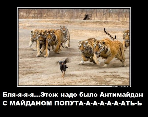 ��� ��� �������� []